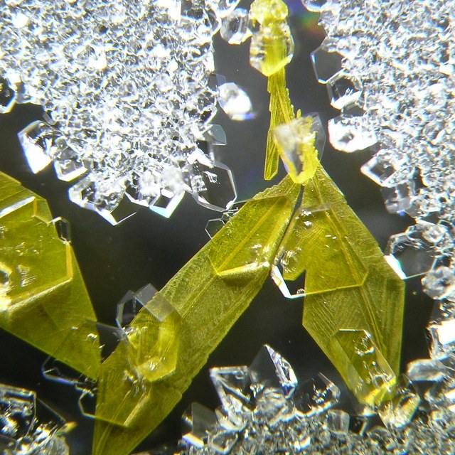Enlarged view: Two organic crystals