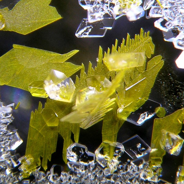 Enlarged view: Two organic crystals
