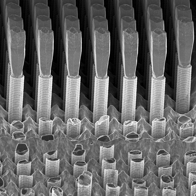 Enlarged view: Array of etched, 8-µm tall Ge crystals grown epitaxially on Si pillars
